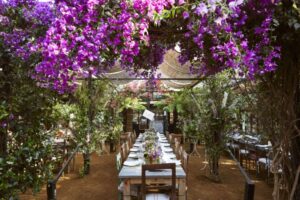 Petersham Nurseries Cafe Interior Image