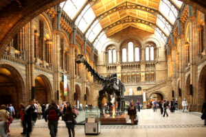 Inside of The Natural History Museum in London