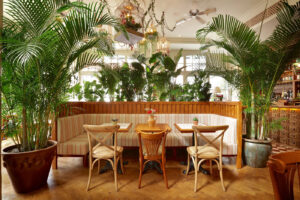 Mr Fogg's House Of Botanicals Interior image